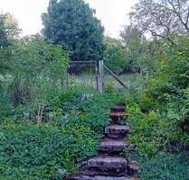 Schorndorf: Interessantes Freizeitgrundstück (stadtnah) Schorndorf: Interessantes Freizeitgrundstück (stadtnah)