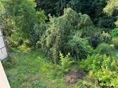 IMG_9448 - 