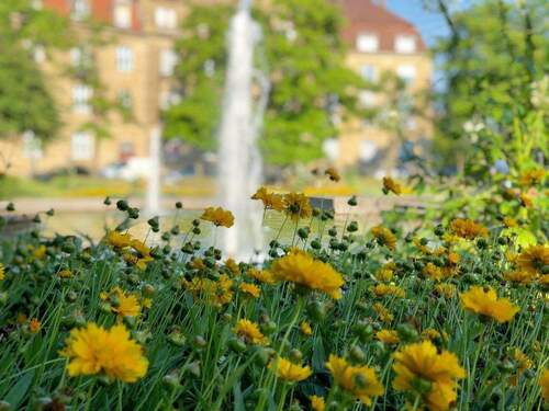 Haydnplatz Karlsruhe - 1 Zimmer Etagenwohnung zur Miete in Karlsruhe