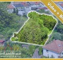 Viel Platz und Fernblick - Baugrundstück mit Option auf Doppelbauplatz in Lemberg (Pfalz)