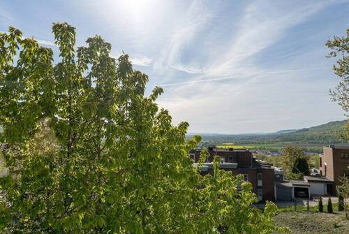 Ausblick OG - 