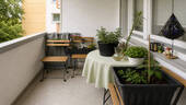 Bild5 - 