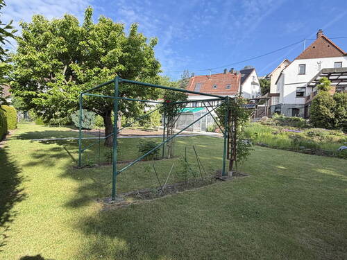 Garten mit Baumbestand - 
