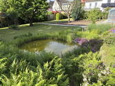 Teich - 