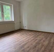 Praktische 2-Zimmer Wohnung mit neuen Bodenbelägen zu vermieten - Melsungen