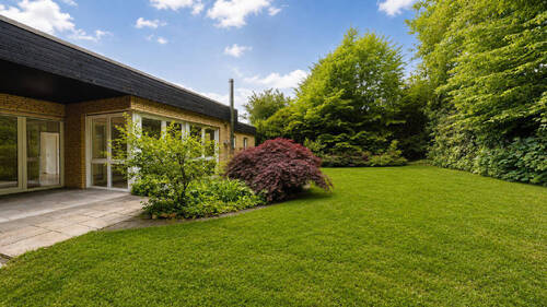 Bild10 - 