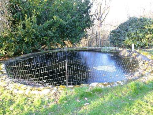 08 Garten, Teich.JPG - 