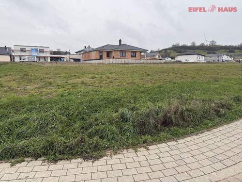 IMG_1232 - Grundstück in Welschbillig