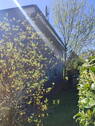 Nordseite - Mehrfamilienhaus, Wohnhaus mit 190,00 m&sup2; in Kellinghusen zum Kaufen