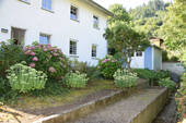 Garten hinterm Haus - 