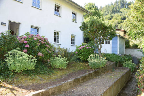 Garten hinterm Haus - 