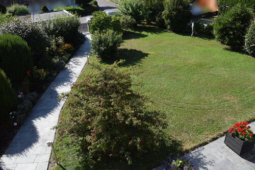Aussicht auf den Garten - 