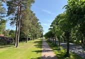 Baumallee im nahen Umfeld - 