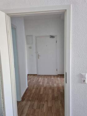 20240715_172829_resized.jpg - 