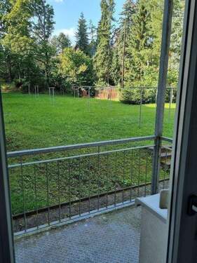 20240715_172838_resized.jpg - 