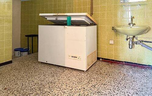 IMG_2575 - 