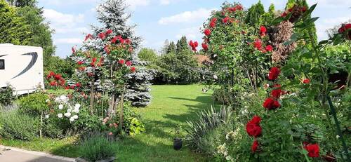Bild 14 - 