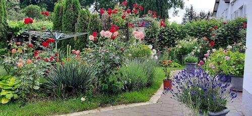 Bild 16 - 