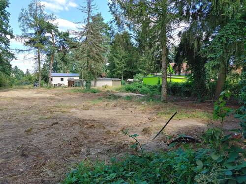 Blick nach Osten.jpg - Grundstück zum Kaufen in Königs Wusterhausen