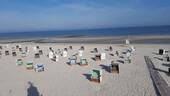Strand I - 