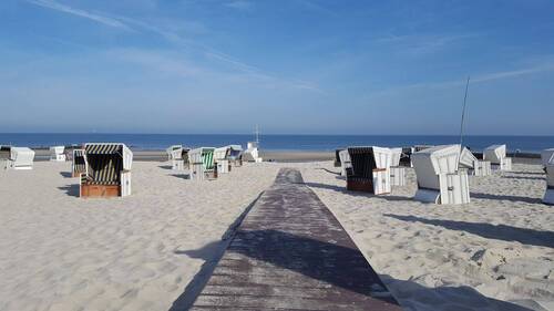 Strand II - 