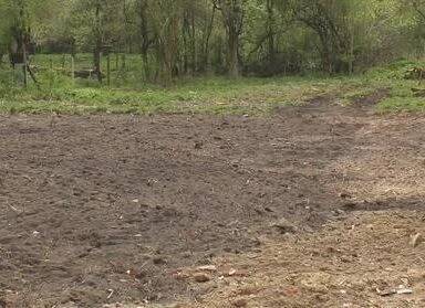 Ansicht 4.jpg - tolles Grundstück für Ihr neues Haus