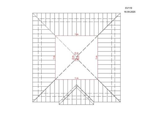 SV 119 Draufsicht.jpg - 