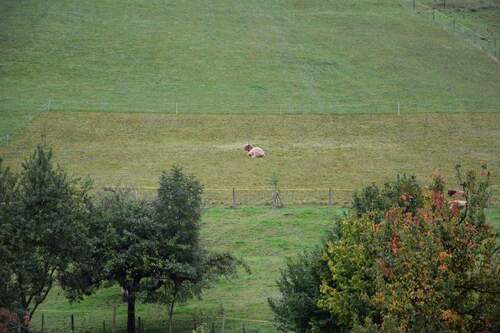 Blick vom Balkon DG - 