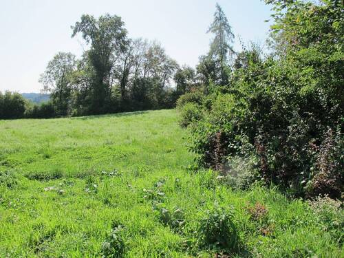 Grundstück - Grundstück in Burghausen