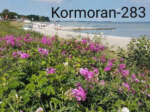 Traumhaftes Umfeld - 