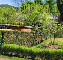 Moderner Bungalow in idyllischer Naturlage - Ihr neues Zuhause in Hainrode - Hainrode-Teichtal Thüringen Niederdorla