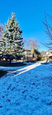 20251122_140551.jpg - 