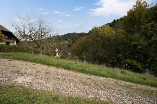 Grundstück_2 - Grundstück in Simonswald zum Kaufen