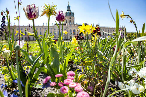Schlossgarten - 