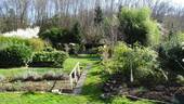 Garten - 