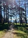 Bild 17 - 