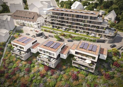 Bird1_Süd-Ost - 4 Zimmer Etagenwohnung in Laufenburg (Baden)