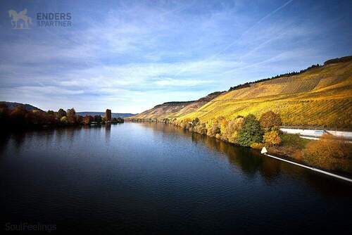 4 - Etagenwohnung mit 75,00 m&sup2; in Longuich zur Miete