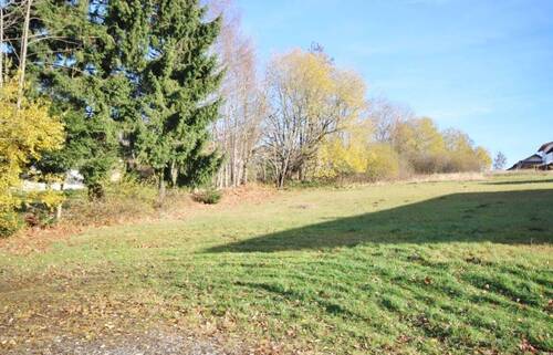 Blick auf das Grundstück - 