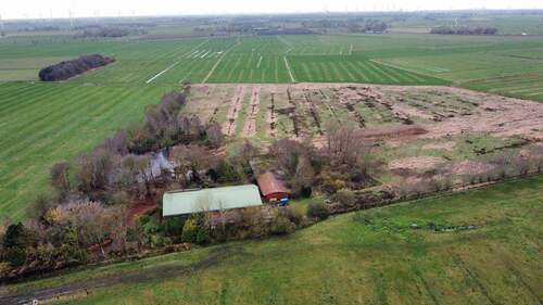 dji_fly_20251201_135634_509_1764673152264_photo_optimized - 