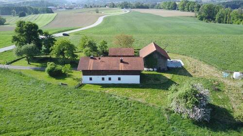 Landwirtschaftliches Anwesen in Alleinlage - 2 Zimmer Bauernhaus, Landhaus in Tann