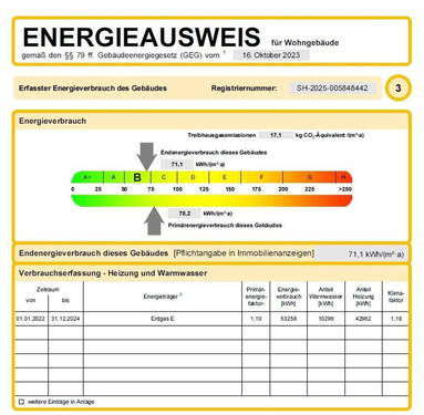 Energieausweis - 