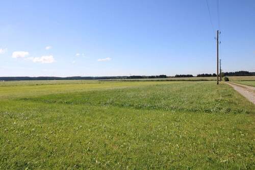 Grünland - Grundstück in Unteregg