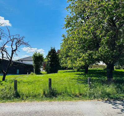 Bild2 - Grundstück zum Kaufen in Hüllhorst