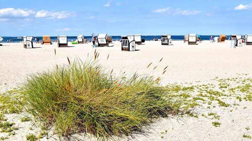 Strand Priwall / Travemünde - Grundstück zum Kaufen in Nordwestmecklenburg - Landkreis - Dassow