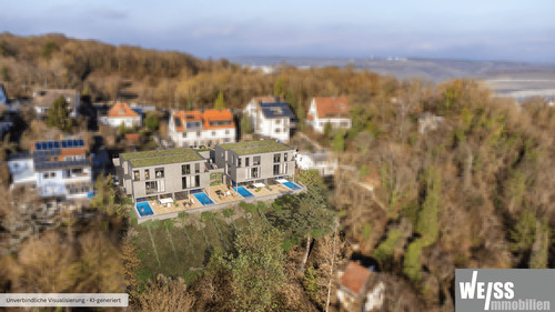 Drohnenansicht - 5 Zimmer Doppelhaushälfte in Höchberg