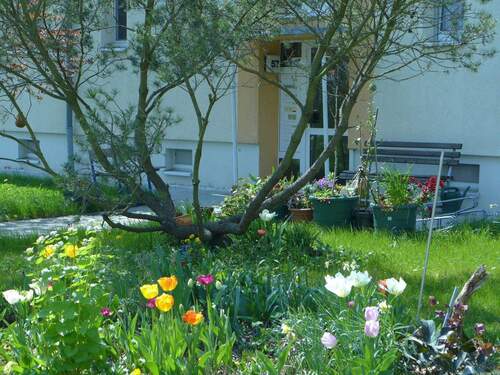 P1040513.JPG - 2 Zimmer Etagenwohnung zur Miete in Borna