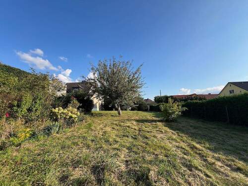 Bild 4 - Grundstück in Herzfelde zum Kaufen