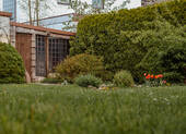 Garten mit Schuppen - 