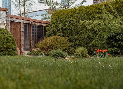 Garten mit Schuppen - 